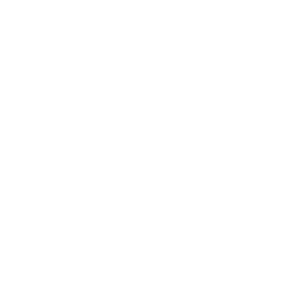 Mobile menu